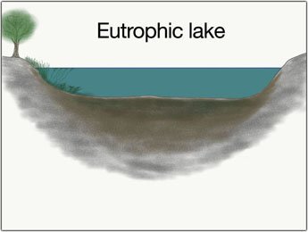 eutropher-see-grosse-hechte-fischen