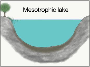 mesotropher-see-grosse-hechte-fangen