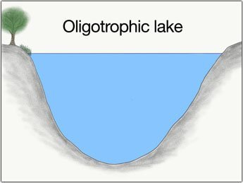 oligotropher-see-grosse-hechte-fangen