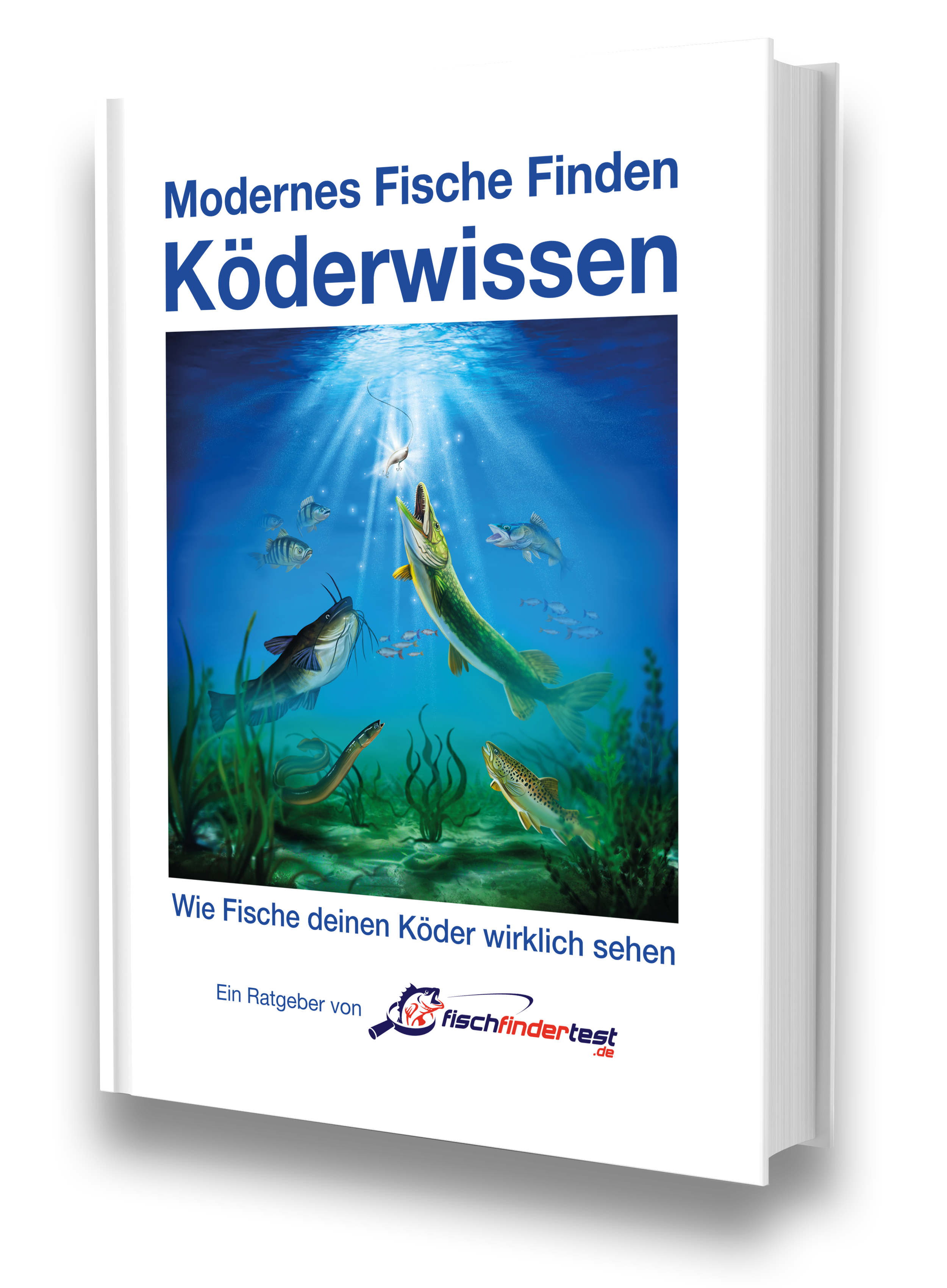 MFF Koederwissen 3d cover