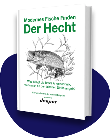 Moderne Fische Product