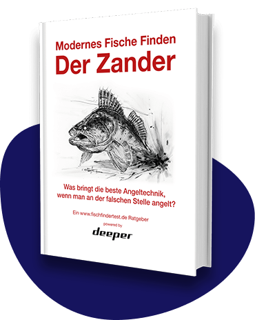 moderne fische der zander