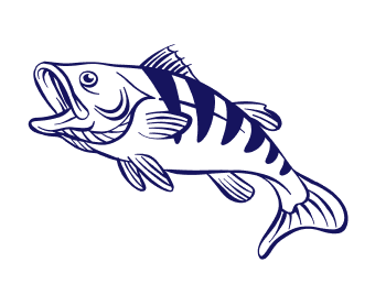 upper fish