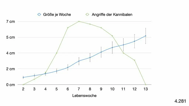 Welche Ködergröße soll ich zum Barschangeln verwenden? Eine passend zu der natürlichen Beutegröße.