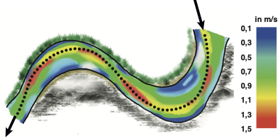 In dieser Grafik kann man sehr gut sehen, wie sich die Fliessgeschwindigkeit in einem Fluss verändert. Und was das für einen Einfluss auf die Standorte der Karpfen und in weiterer Folge das Karpfenangeln hat.