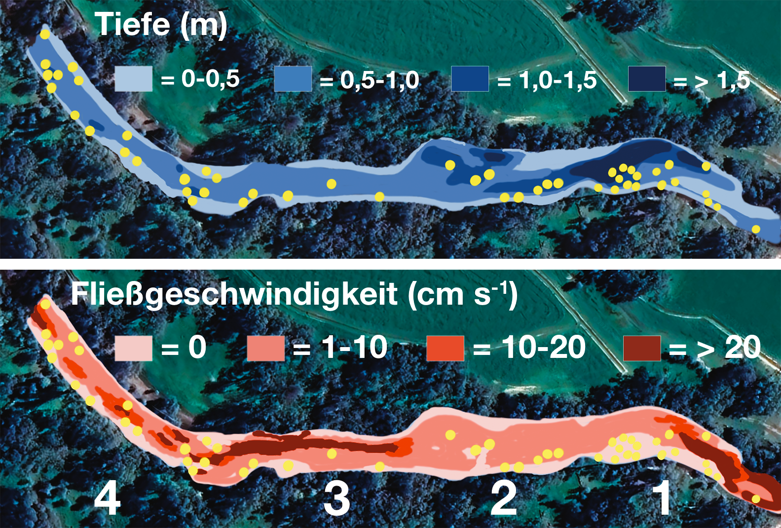 Karpfenangeln am Fluss - Standorte nach Tiefe und Fließgeschwindigkeit