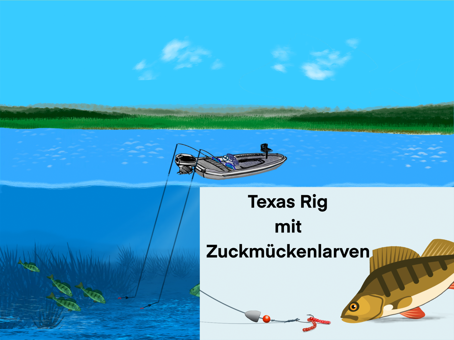 Die beste Ködermontage für Barsch im Frühling: Texas Rig mit Zuckermückenlarven.