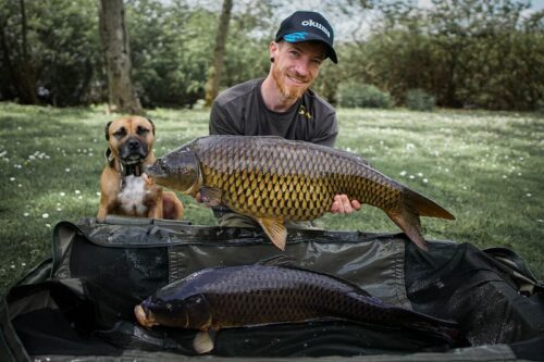 Karpfen-Laichzeit: Alles über Fortpflanzung und Entwicklung des Nr.1-Friedfisches.