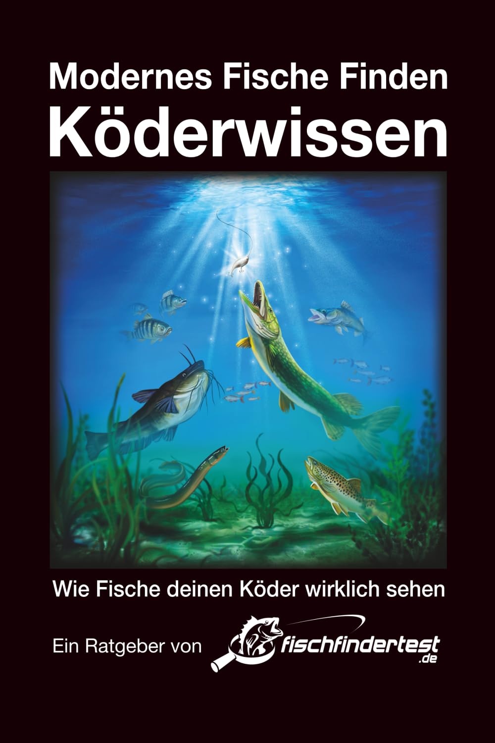 a - LP Ködervideo - UV 1 3 Modernes Fische Finden - Köderwissen