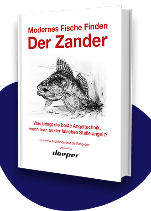 moderne-fische-der-zander.png